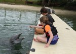Dolphin Quest Photos-BIGISLE-Trainer for a Day-id213841942_withBorder