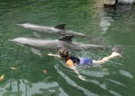 Dolphin Quest Photos-BIGISLE-Trainer for a Day-id213841952_withBorder