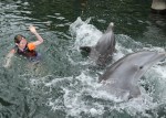 Dolphin Quest Photos-BIGISLE-Trainer for a Day-id213841976_withBorder