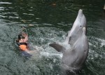 Dolphin Quest Photos-BIGISLE-Trainer for a Day-id213841980_withBorder