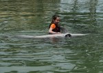 Dolphin Quest Photos-BIGISLE-Trainer for a Day-id213841985_withBorder