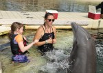Dolphin Quest Photos-BIGISLE-Trainer for a Day-id213842038_withBorder