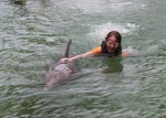 Dolphin Quest Photos-BIGISLE-Trainer for a Day-id213842075_withBorder
