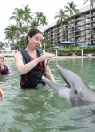 Dolphin Quest Photos-BIGISLE-Wee Tots-id213842135_withBorder