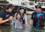 Dolphin Quest Photos-BIGISLE-Wee Tots-id213842232_withBorder